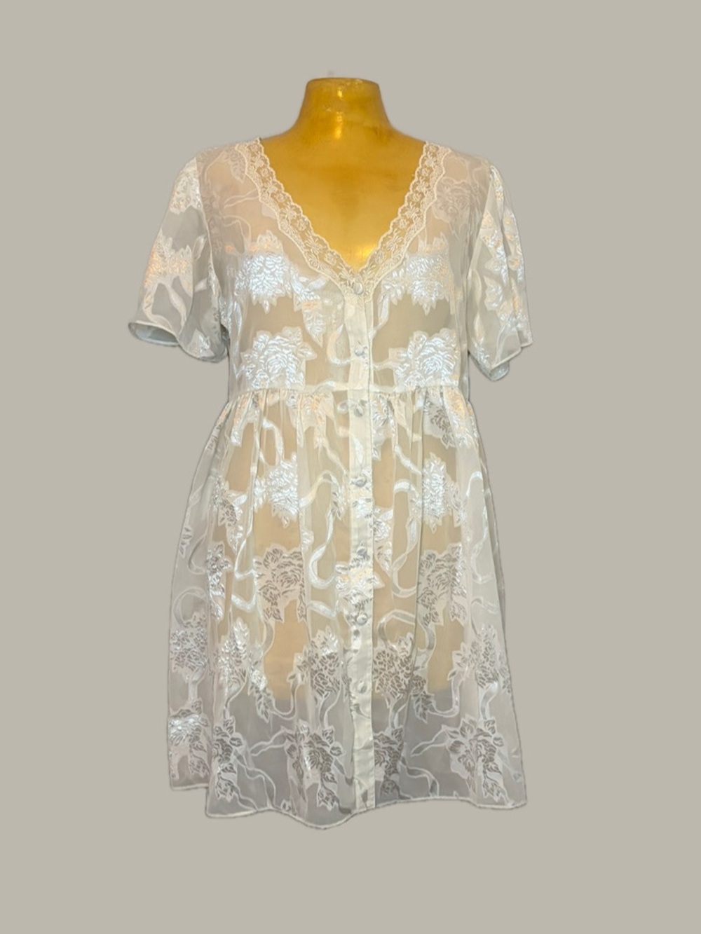 🦢Vintage VS Sheer Burnout Mini Dress🦢